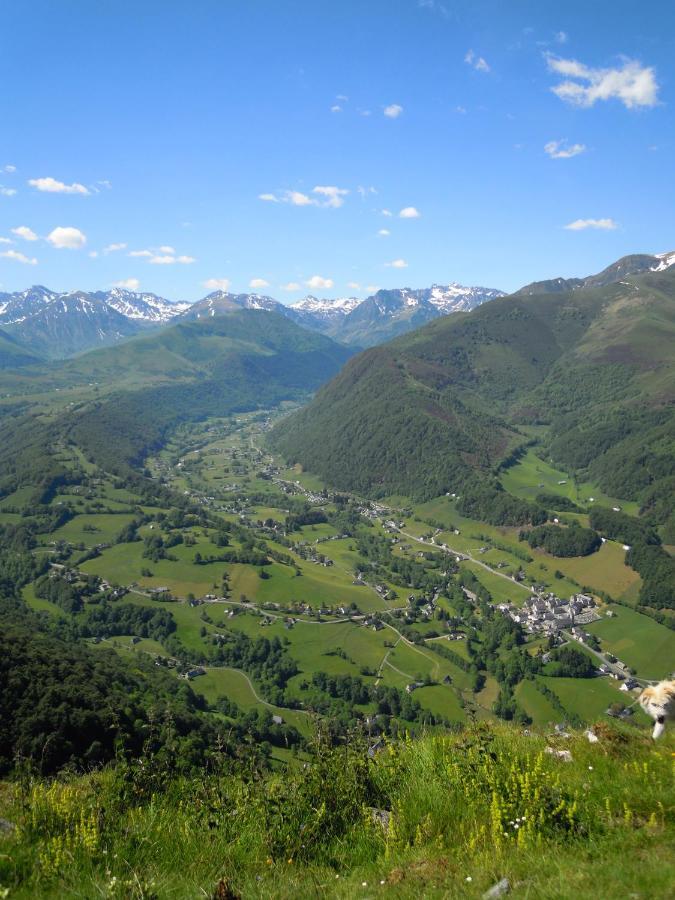 La Grande Ourse Bed and Breakfast Campan Eksteriør billede